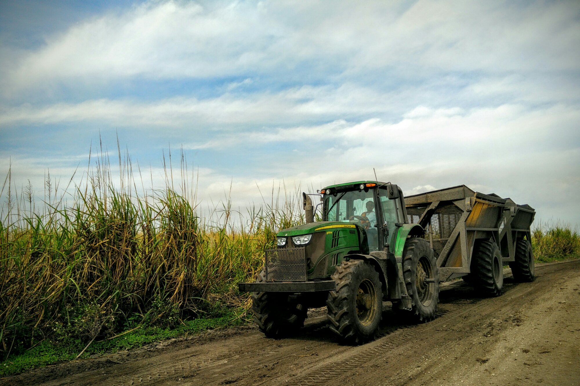 US Sugar tractor moving freshly cut sugar cane near Clewiston